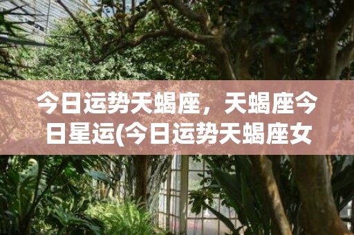 今日运势天蝎座，天蝎座今日星运(今日运势天蝎座女2022年11月29)