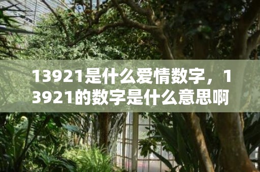 13921是什么爱情数字，13921的数字是什么意思啊