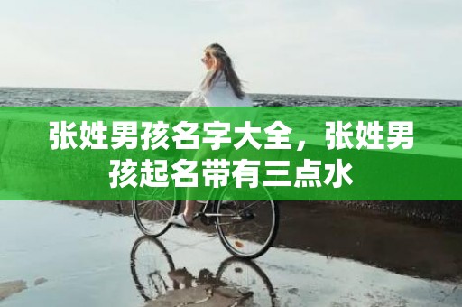 张姓男孩名字大全，张姓男孩起名带有三点水