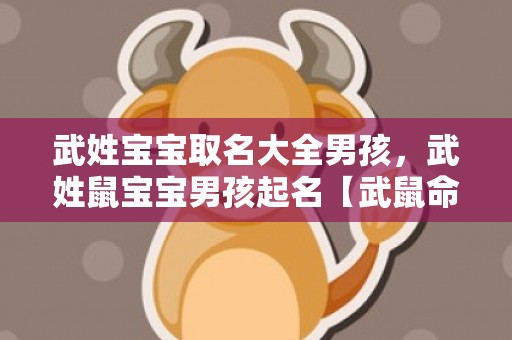 武姓宝宝取名大全男孩，武姓鼠宝宝男孩起名【武鼠命名 一个周易智能起名大师教你如何为男孩宝宝取名】