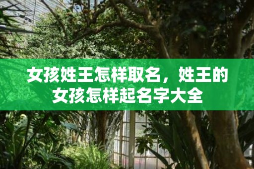 女孩姓王怎样取名，姓王的女孩怎样起名字大全