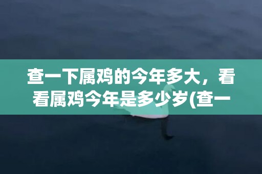 查一下属鸡的今年多大，看看属鸡今年是多少岁(查一下属鸡的今年运气如何)