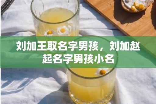 刘加王取名字男孩，刘加赵起名字男孩小名