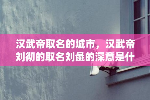 汉武帝取名的城市，汉武帝刘彻的取名刘彘的深意是什么呢？(支付宝小荷包名称怎么取？)