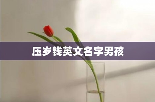 压岁钱英文名字男孩