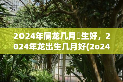 2O24年属龙几月岀生好，2024年龙出生几月好(2o24年属龙的运程丿)