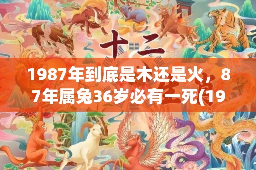 1987年到底是木还是火，87年属兔36岁必有一死(1987年到底是金命还是木命啊)
