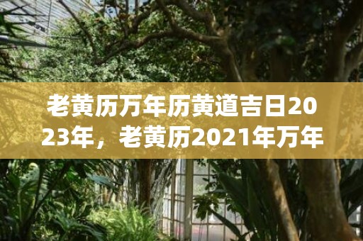 老黄历万年历黄道吉日2023年，老黄历2021年万年历黄道吉日查询911查询(老黄历万年历黄道吉日查询2022)
