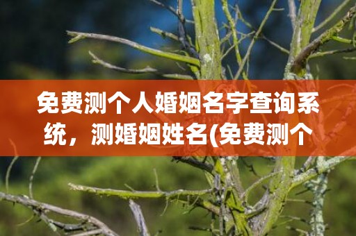 免费测个人婚姻名字查询系统，测婚姻姓名(免费测个人婚姻不付费)