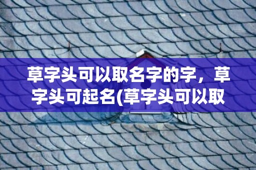 草字头可以取名字的字，草字头可起名(草字头可以取名字吗男孩)