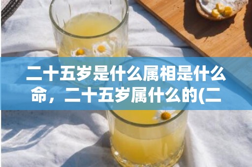 二十五岁是什么属相是什么命，二十五岁属什么的(二十五岁是什么年华)