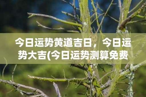 今日运势黄道吉日，今日运势大吉(今日运势测算免费)