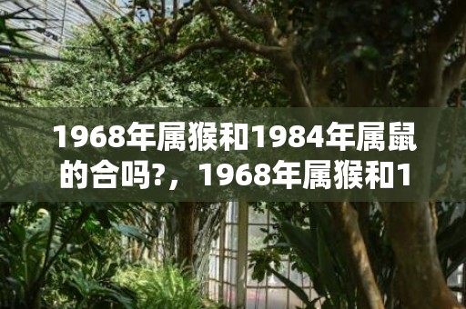 1968年属猴和1984年属鼠的合吗?，1968年属猴和1987年属兔