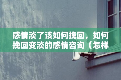 感情淡了该如何挽回，如何挽回变淡的感情咨询（怎样挽回一段感情秘籍）