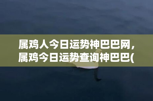 属鸡人今日运势神巴巴网，属鸡今日运势查询神巴巴(属鸡人今日运势神巴巴网)