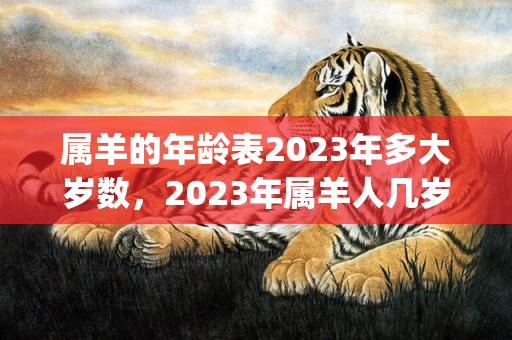 属羊的年龄表2023年多大岁数，2023年属羊人几岁(属羊的年龄表2022)