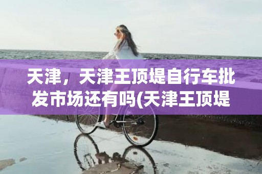 天津，天津王顶堤自行车批发市场还有吗(天津王顶堤派出所电话)