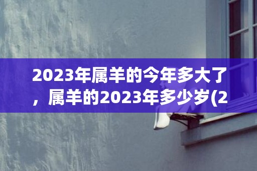 2023年属羊的今年多大了，属羊的2023年多少岁(2023年属羊的多大岁数了)