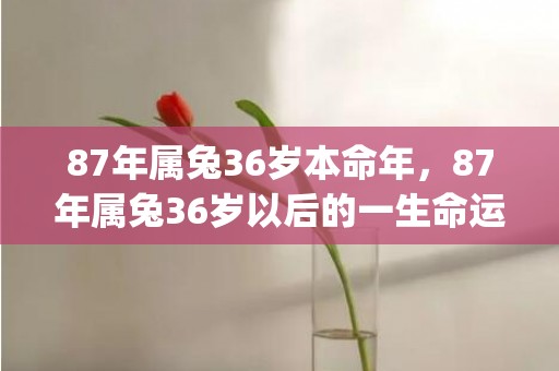 87年属兔36岁本命年，87年属兔36岁以后的一生命运(87年属兔36岁命运怎么样)