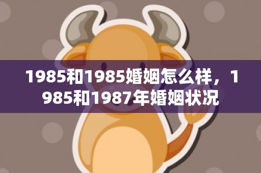 1985和1985婚姻怎么样，1985和1987年婚姻状况