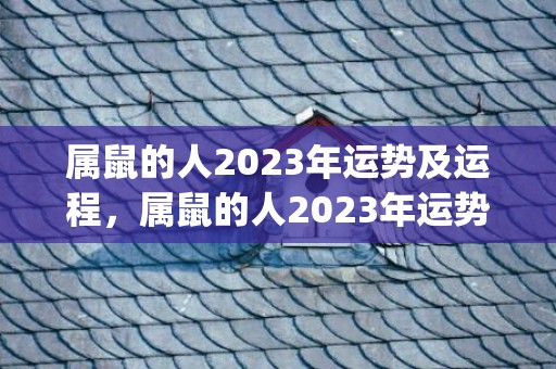 属鼠的人2023年运势及运程，属鼠的人2023年运势及运程每月(属鼠的人2023年多大)