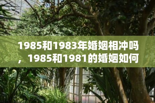 1985和1983年婚姻相冲吗，1985和1981的婚姻如何