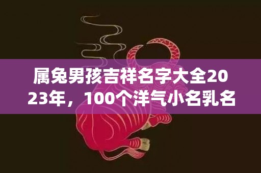 属兔男孩吉祥名字大全2023年，100个洋气小名乳名(属兔男孩吉祥名字大全姓饶)