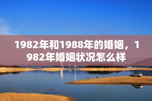 1982年和1988年的婚姻，1982年婚姻状况怎么样