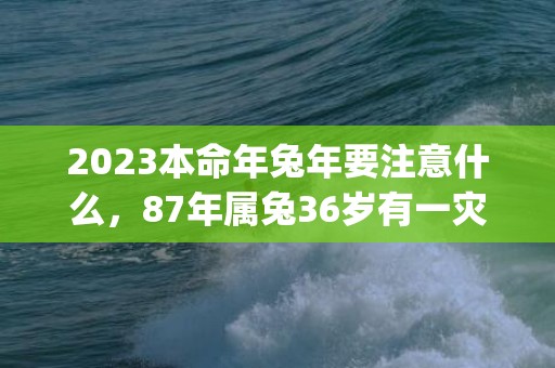 2023本命年兔年要注意什么，87年属兔36岁有一灾(2023本命年兔图片)