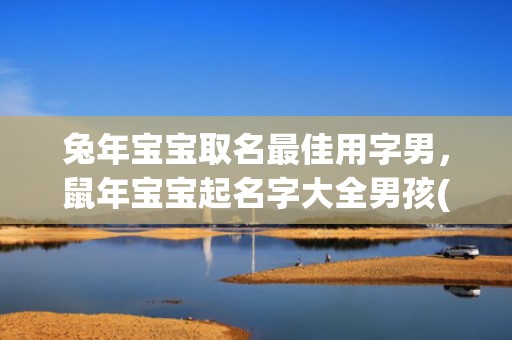 兔年宝宝取名最佳用字男，鼠年宝宝起名字大全男孩(兔年宝宝取名最佳名字)
