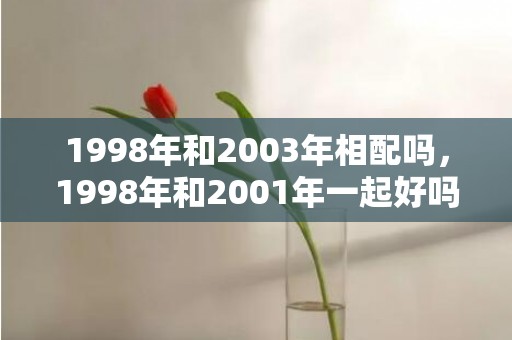 1998年和2003年相配吗，1998年和2001年一起好吗