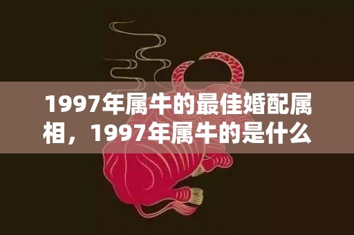 1997年属牛的最佳婚配属相，1997年属牛的是什么命