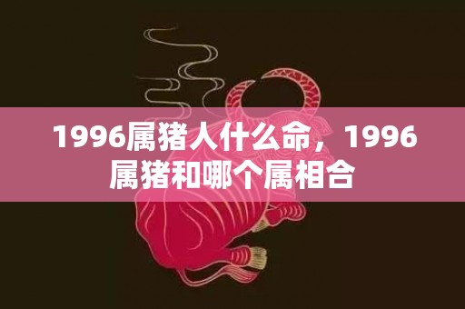 1996属猪人什么命，1996属猪和哪个属相合