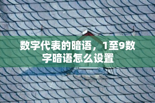 数字代表的暗语，1至9数字暗语怎么设置