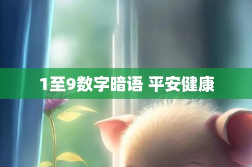 1至9数字暗语 平安健康