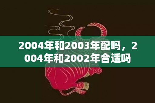 2004年和2003年配吗，2004年和2002年合适吗