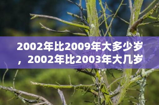 2002年比2009年大多少岁，2002年比2003年大几岁