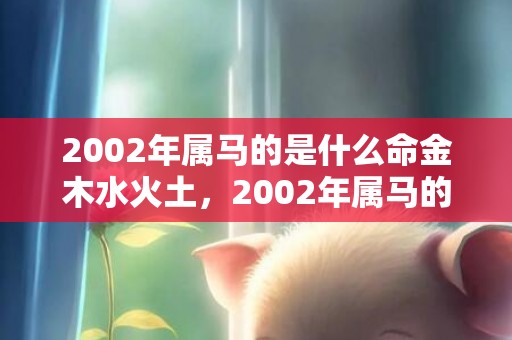 2002年属马的是什么命金木水火土，2002年属马的婚姻运势