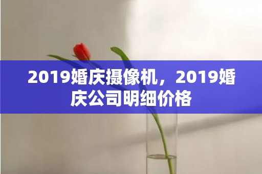 2019婚庆摄像机，2019婚庆公司明细价格