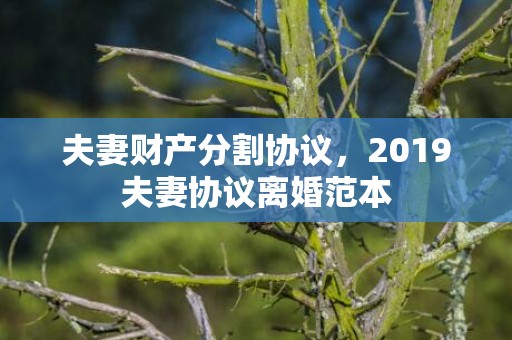 夫妻财产分割协议，2019夫妻协议离婚范本