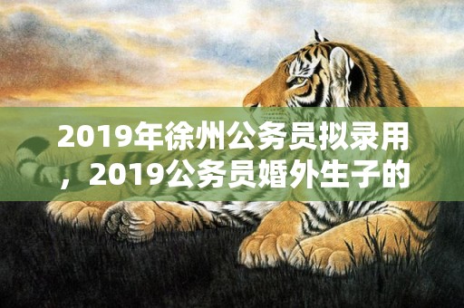 2019年徐州公务员拟录用，2019公务员婚外生子的规定