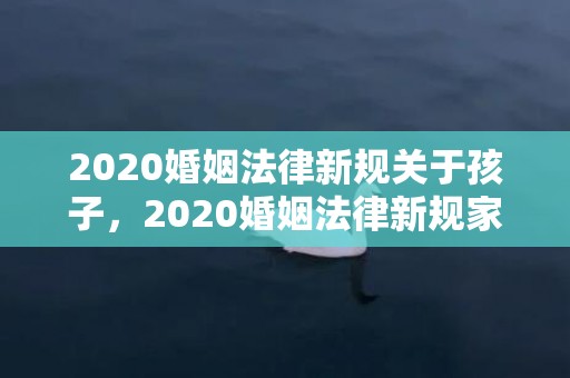 2020婚姻法律新规关于孩子，2020婚姻法律新规家暴