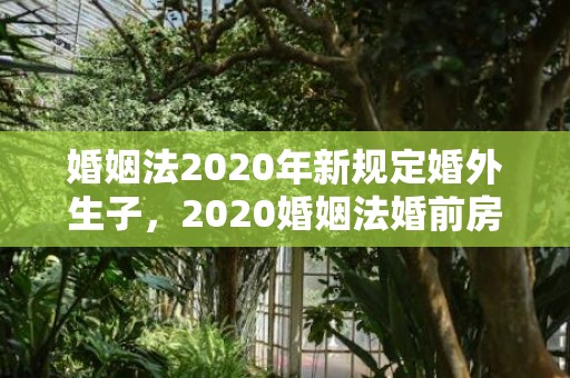 婚姻法2020年新规定婚外生子，2020婚姻法婚前房产加名字
