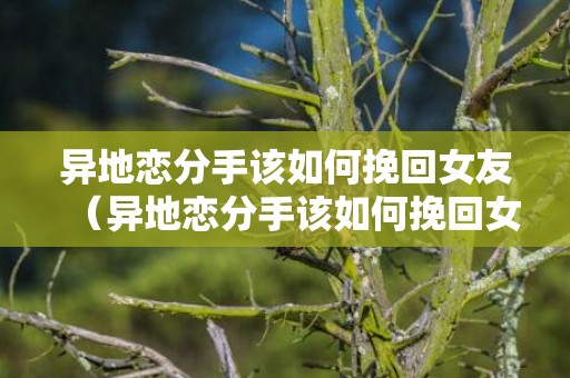 异地恋分手该如何挽回女友（异地恋分手该如何挽回女友的话）
