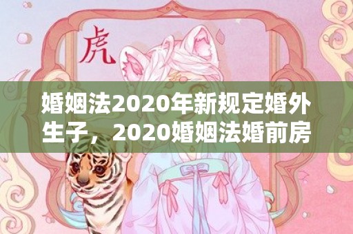 婚姻法2020年新规定婚外生子，2020婚姻法婚前房产分割