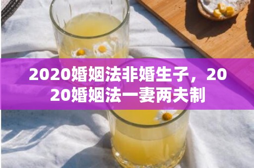 2020婚姻法非婚生子，2020婚姻法一妻两夫制