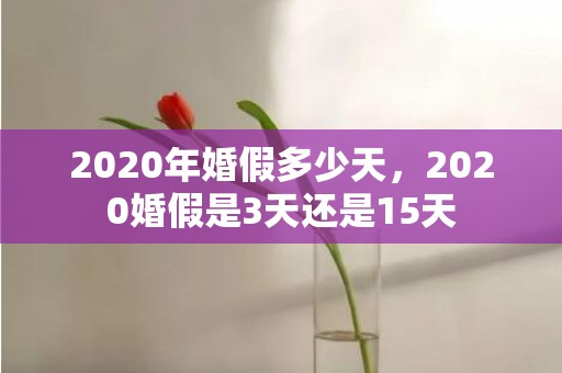 2020年婚假多少天，2020婚假是3天还是15天
