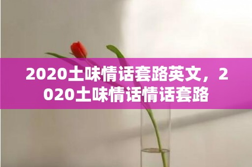 2020土味情话套路英文，2020土味情话情话套路