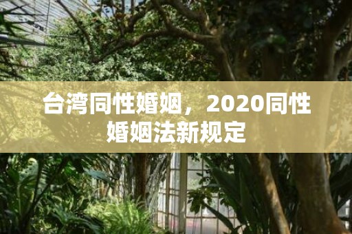 台湾同性婚姻，2020同性婚姻法新规定
