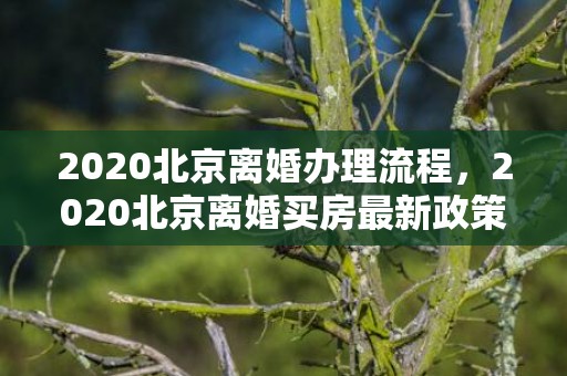 2020北京离婚办理流程，2020北京离婚买房最新政策